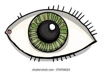 Hand drawn, eye, vector illustration, isolated on white