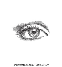 Hand Drawn Eyebrow Sketch Symbol. Vector Eyelash Element In Trendy Style.