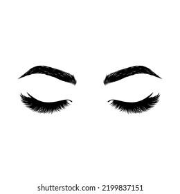 Hand drawn eyelahes and eyebrows on white background.