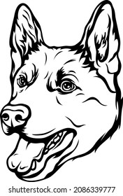 Hand drawn face of dog. Black and white corgi vector illustration mascot art