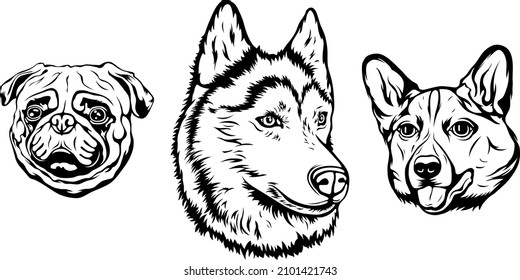 Hand drawn face of dogs. Black and white vector illustration mascot art