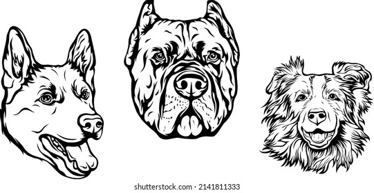 Hand drawn face of dogs. Black and white vector illustration mascot art