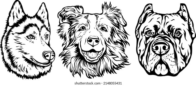 Cara dibujada a mano de perros. Arte de mascota de ilustraciones vectoriales en blanco y negro