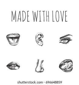 Hand Drawn Face parts Sketches Set. Collection Of Nose, Eyebrow, Lick And Other Sketch Elements.