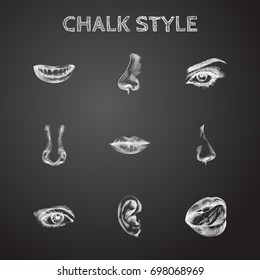 Hand Drawn Face Sketches Set. Collection Of Eyebrow, Eyelash, Listen And Other Sketch Elements.