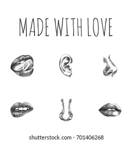 Hand Drawn Face Sketches Set. Collection Of Lick, Nasal, Smell And Other Sketch Elements.