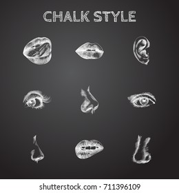 Hand Drawn Face Sketches Set. Collection Of Eyeball, Sniff, Nose And Other Sketch Elements.