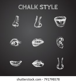 Hand Drawn Face Sketches Set. Collection Of Mouth, Eyeball, Nasal And Other Sketch Elements.