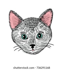 Hand drawn face of young cat. Vector illustration of animal isolated on the white background.