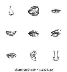 Hand Drawn Faceparts Sketches Set. Collection Of Lick, Mouth, Teeth And Other Sketch Elements.