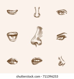 Hand Drawn Faceparts Sketches Set. Collection Of Mouth, Eyelash, Nasal And Other Sketch Elements.