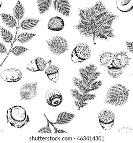 Hand drawn fall acorns,chestnuts, hazelnuts , oak and chestnuts leaves background pattern.Black and white.