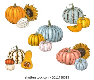 Hand drawn fall collection and pumpkins   sunflowers  Vector illustration in retro style