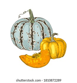 Hand drawn fall pumpkin. Vector illustration in retro style