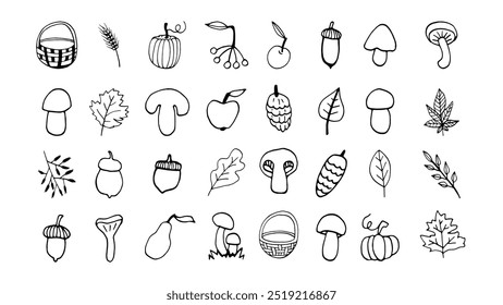 Conjunto de otoño dibujado a mano con bellota, hojas, setas, calabazas doodle. Ilustración para el diseño estacional