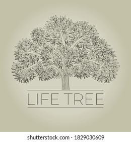 Hand drawn family life tree with apples for card, header, invitation, poster, social media, post publication. vector poster with huge strong tree.   
