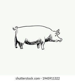 Hand drawn farm animal simple illustration