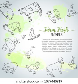 Hand drawn farm animals background. Farming illustration. Farm fresh text. Hand sketched goose, rooster, chicken