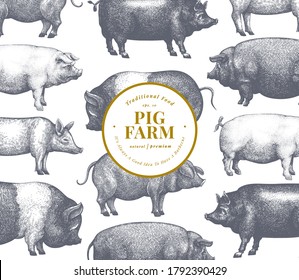 Hand drawn farm animals background. Vector pig design template. Vintage hog illustration 
