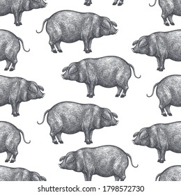 Hand drawn farm animals background. Vector pig seamless pattern. Vintage hog illustration 