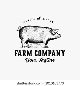 Hand drawn farm logo design vector - vintage pig logo design inspiration - bacon logo design isolated on white background