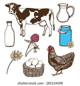 Hand drawn farm set. Cow, hen, chamomile, eggs basket, clover, milk can