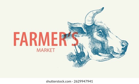 Ilustração de vetor agrícola desenhada à mão de retrato de vaca de esboço. Banner retro vintage.