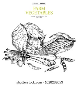Hand drawn farm vegetables. Cabbage, olive, sprouting onion, corn, peas. Vector engraved illustration. Farmers market plants. Good for restaurant, menu, food shop flyer, banner. Vintage set
