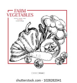 Hand drawn farm vegetables. Leek, bell pepper, broccoli, brussels sprouts, tomato. Vector engraved illustration. Farmers market plants. Good for restaurant, menu, food shop flyer, banner. Vintage set