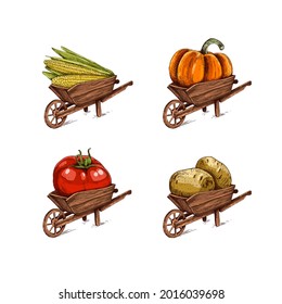 Hand drawn farmer wooden cart with vegetables. Corn, pumpkin, tomato, potato. Farm fresh delivery design template. Vector illustration in retro style isolated on white background.