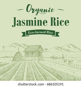 Hand drawn farmers at rice filed with text organic jasmine rice, vector