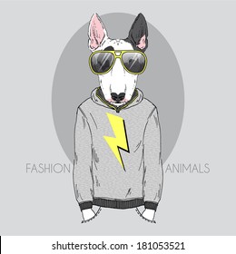 Hand drawn fashion illustration of bull terrier in hoodie and sunglasses 
