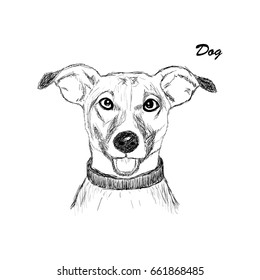 Hand Drawn Fashion Illustration of dog. Vector illustration