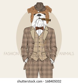 Hand Drawn Fashion Illustration of dressed up english bulldog, in colors