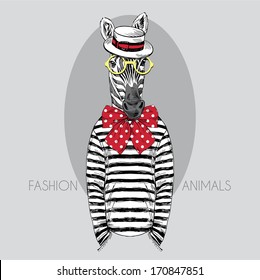 Hand drawn fashion illustration of dressed up zebra