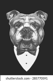 Hand drawn fashion Illustration of English Bulldog. Vector isolated elements.