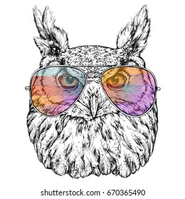 Hand Drawn Fashion Illustration of Hipster Owl with aviator sunglasses. Vector illustration