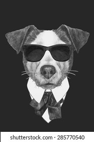 Hand drawn fashion Illustration of Jack Russell. Vector isolated elements.