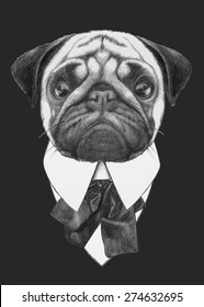 Hand drawn fashion Illustration of Pug Dog. Vector isolated elements.