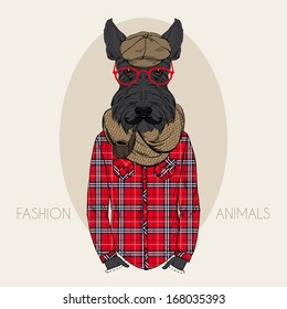 Hand Drawn Fashion Illustration of Scottish-terrier in colors