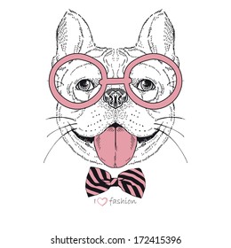 Hand drawn fashion portrait of bulldog boy hipster isolated on white