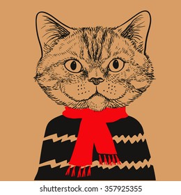 Hand Drawn Fashion Portrait of Cat isolated on background. Vector.
Cat posing in a sweater and red scarf.