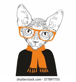 Hand Drawn Fashion Portrait of Cat breed Sphynx isolated on background. Vector. 