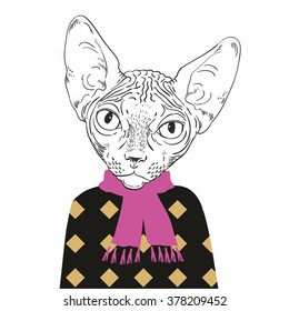 Hand Drawn Fashion Portrait of Cat breed Sphynx isolated on background. Vector. 