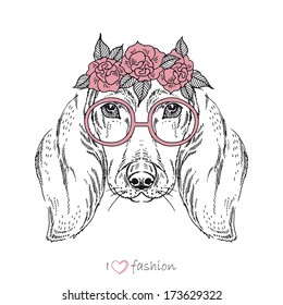 Hand drawn fashion portrait of dachshund isolated on white