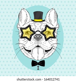 Hand Drawn Fashion Portrait of  Festive French Bulldog in top hat and star shaped glasses