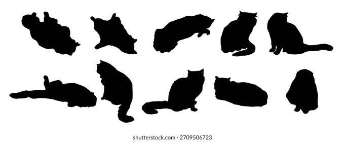 Ilustración de Vectores de gato gordo dibujado a mano