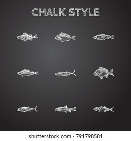 Hand Drawn Fauna Sketches Set. Collection Of Luffar, Sea Bream, Seafood And Other Sketch Elements.