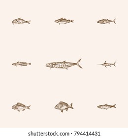 Hand Drawn Fauna Sketches Set. Collection Of Seafood, Scad, Aleck And Other Sketch Elements.
