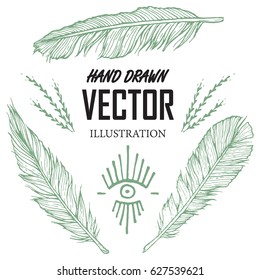 Hand drawn feather.